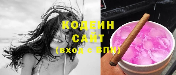 тгк Инсар
