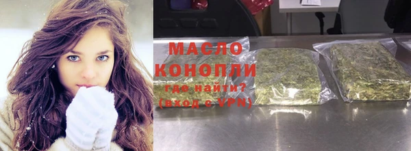 тгк Инсар