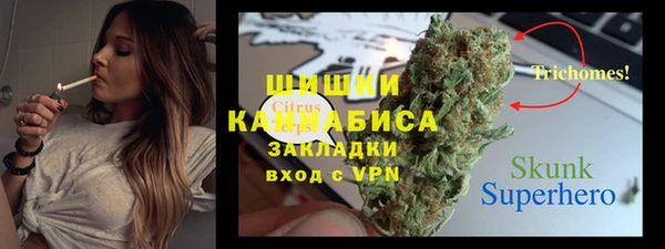 тгк Инсар