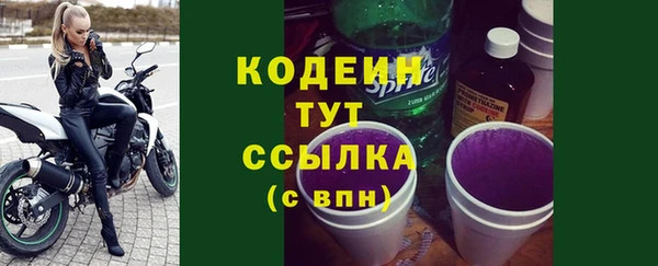 твердый Инта