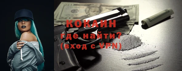 твердый Инта