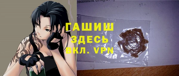 твердый Инта