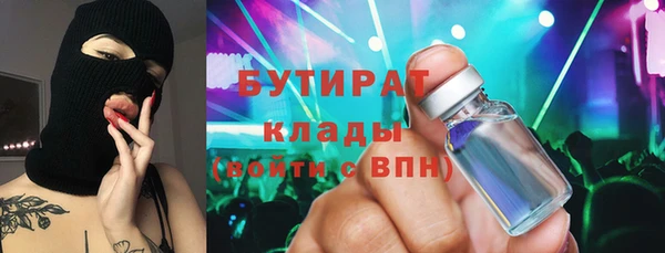 твердый Инта
