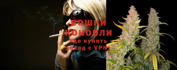 тгк Инсар