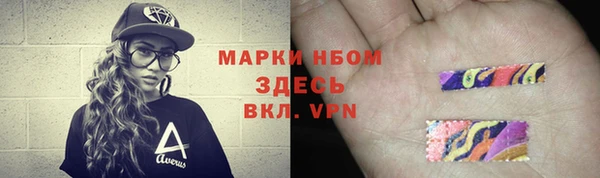твердый Инта