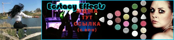 тгк Инсар