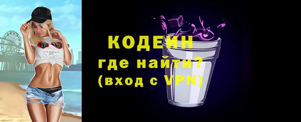 тгк Инсар