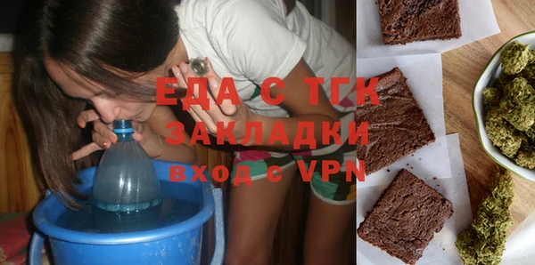 тгк Инсар