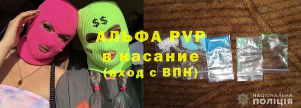 тгк Инсар