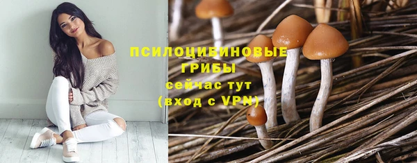 твердый Инта