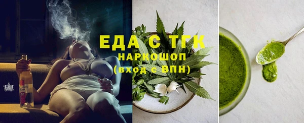 тгк Инсар