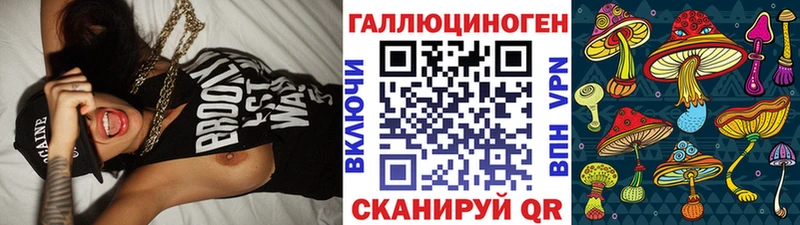 Галлюциногенные грибы Cubensis  Купить закладки  Железногорск-Илимский 