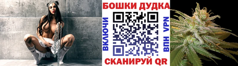 Купить где  Железногорск-Илимский  Конопля конопля 
